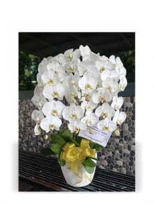 rangkaian anggrek bulan putih 6 tangkai