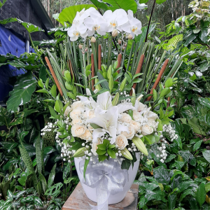 anggrek bulan 2 tangkai mix mawar